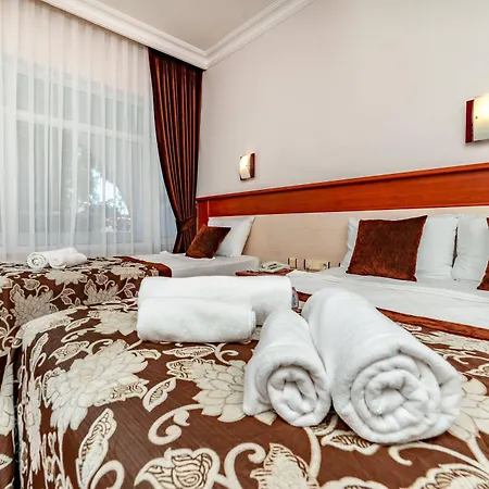 Armas Bella Sun Side